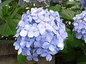 070709_01.jpg