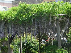 070505_05.jpg