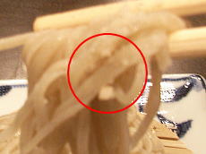 070730_10.jpg