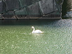 070813_07.jpg