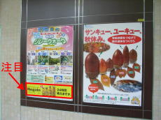 070826_02.jpg
