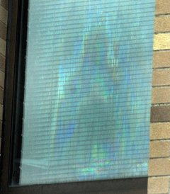 081004_00.jpg
