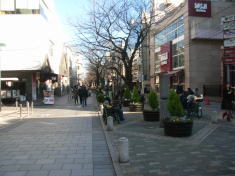 081230_01.jpg