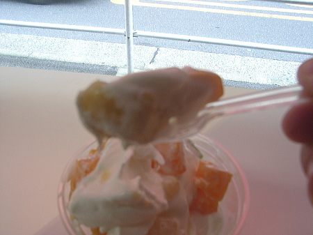 090606_06.jpg