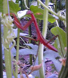 110812_01.jpg