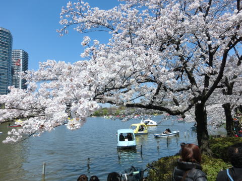 120408_03.jpg
