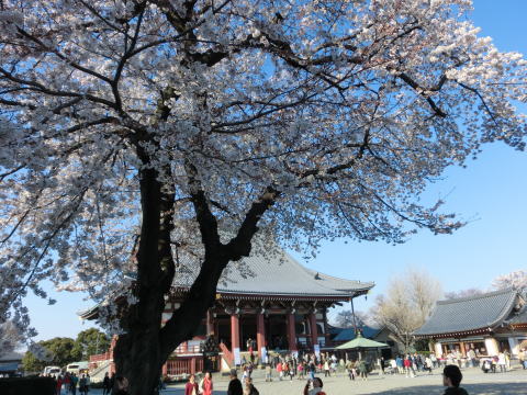 120408_04.jpg