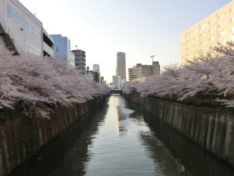 120408_05.jpg