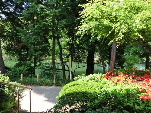 140427_03.jpg