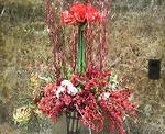 200712122135000.jpg
